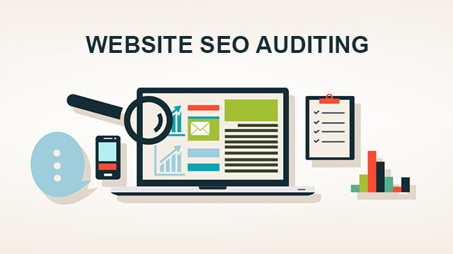 SEO Audit Gumdale